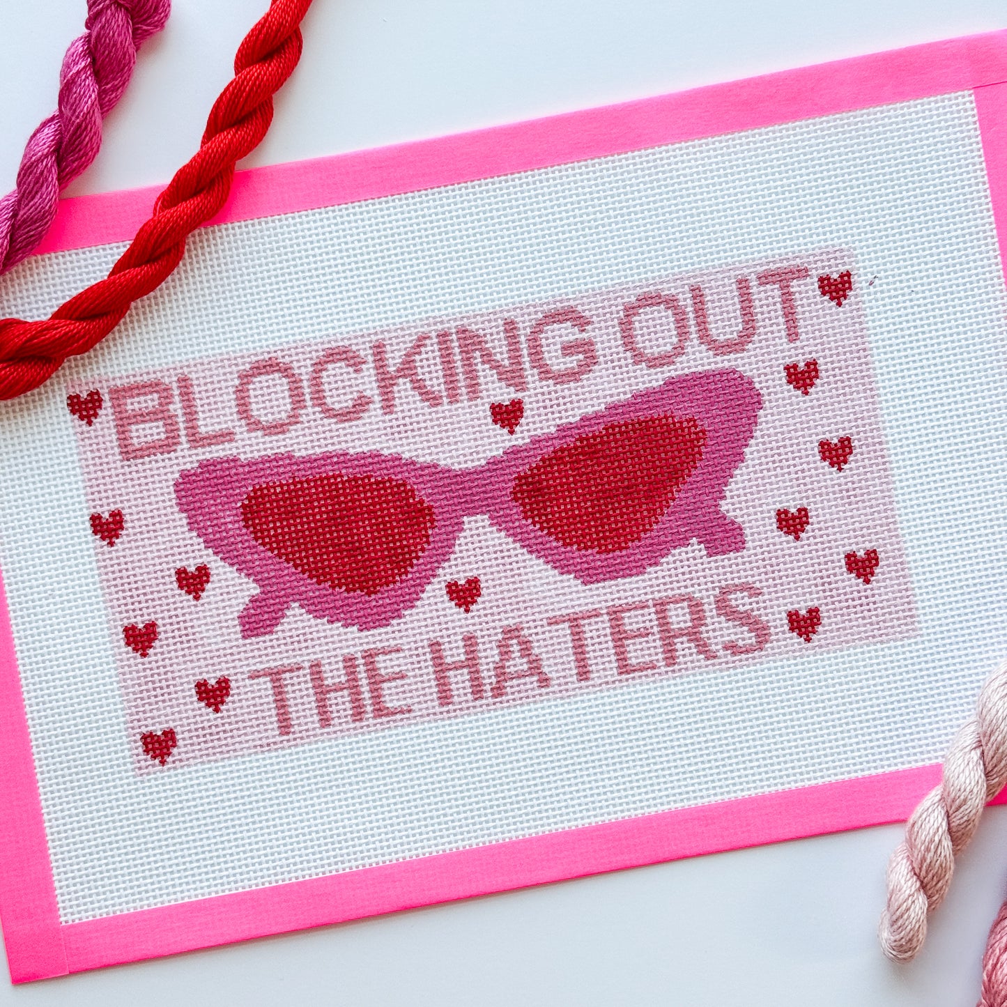 Blocking Out the Haters Sunglasses Case Needlepoint Canvas 9x4.4” 13 mesh Hand Painted
