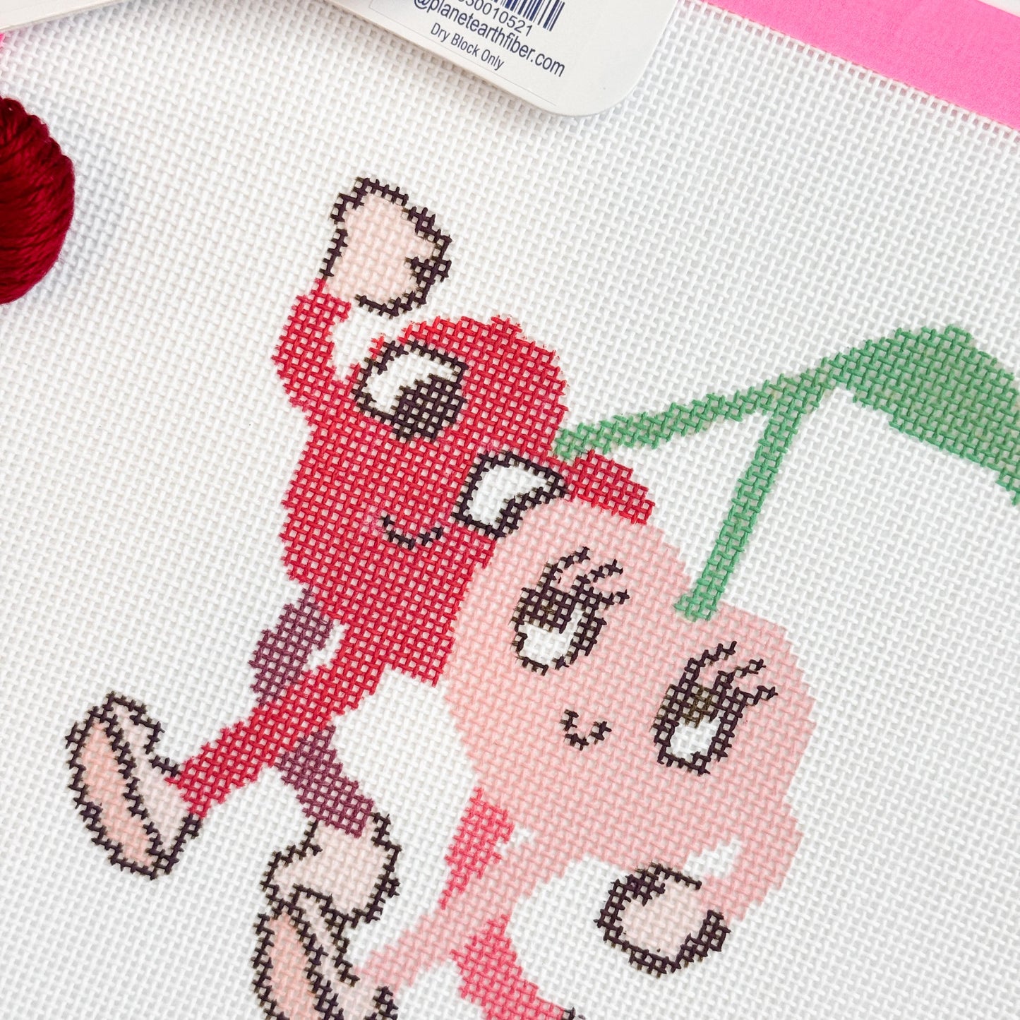 Retro Cherry Buddies Needlepoint Canvas Hand Painted, Cherry 18 Mesh 5" Design Needlepoint Canvas, Modern Needlepoint Canvas