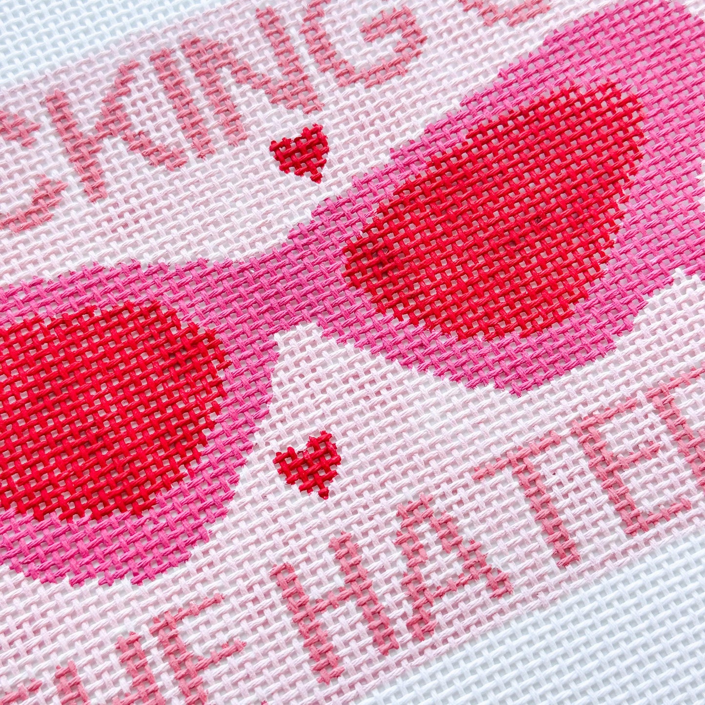 Aesthetic Needlepoint Sunglasses Case Canvas, Hand Painted Needlepoint Canvas, Modern Trendy Needlepoint Sunglass Case 13 Mesh