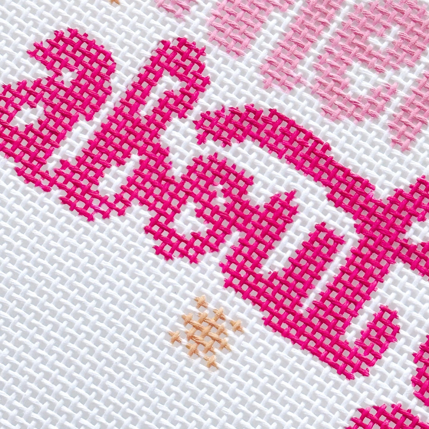 Mental Health Needlepoint Canvas, Modern Cheeky Needlepoint Pillow Canvas, 13 Mesh, 9”x6” design, Snarky Needlepoint Canvas
