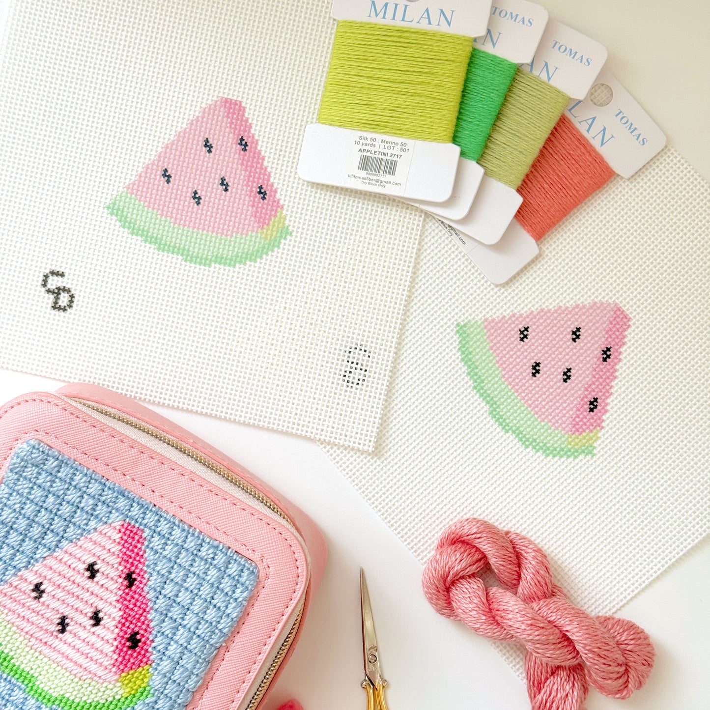 Watermelon Slice 13 Mesh Needlepoint Canvas, 3”x3” Design, Summer Needlepoint Canvas, Beginner Needlepoint
