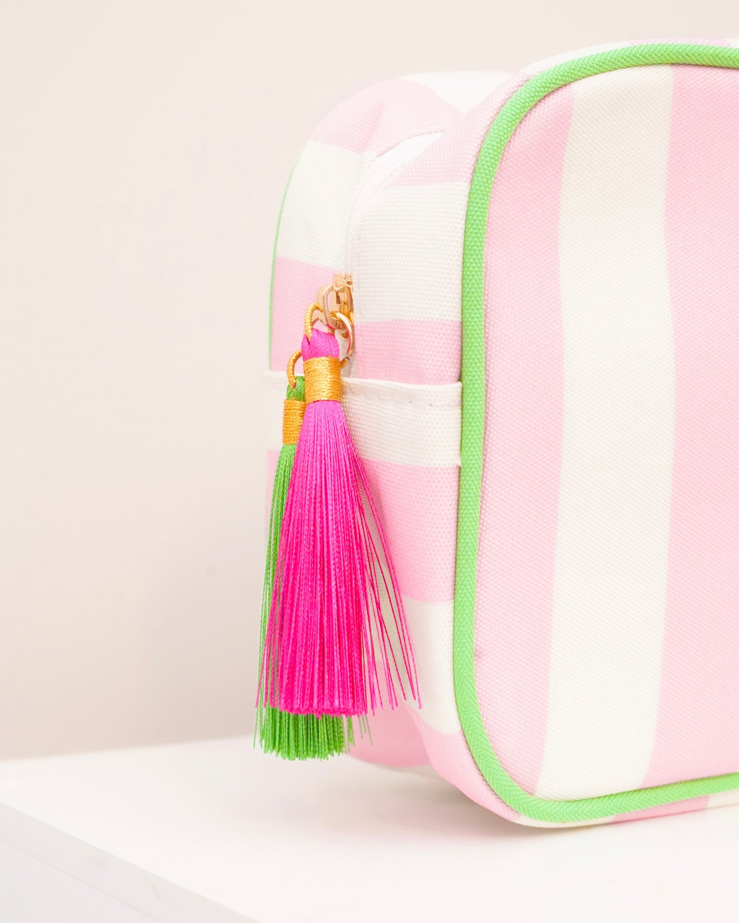 Pink Striped Needlepoint Accessories Zip Pouch, Needlepoint Project Bag