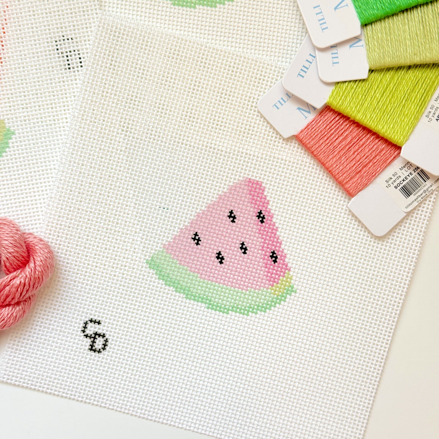 Watermelon Slice 13 Mesh Needlepoint Canvas, 3”x3” Design, Summer Needlepoint Canvas, Beginner Needlepoint